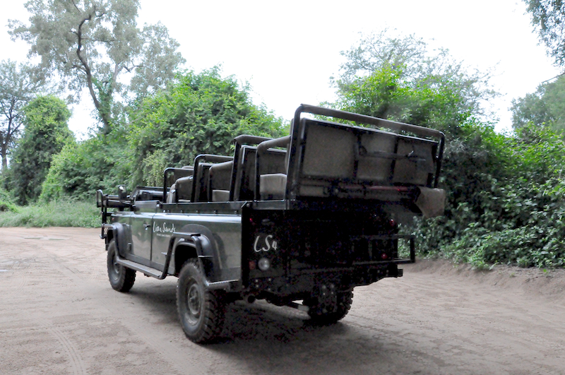 Lion Sands Private game Reserve 